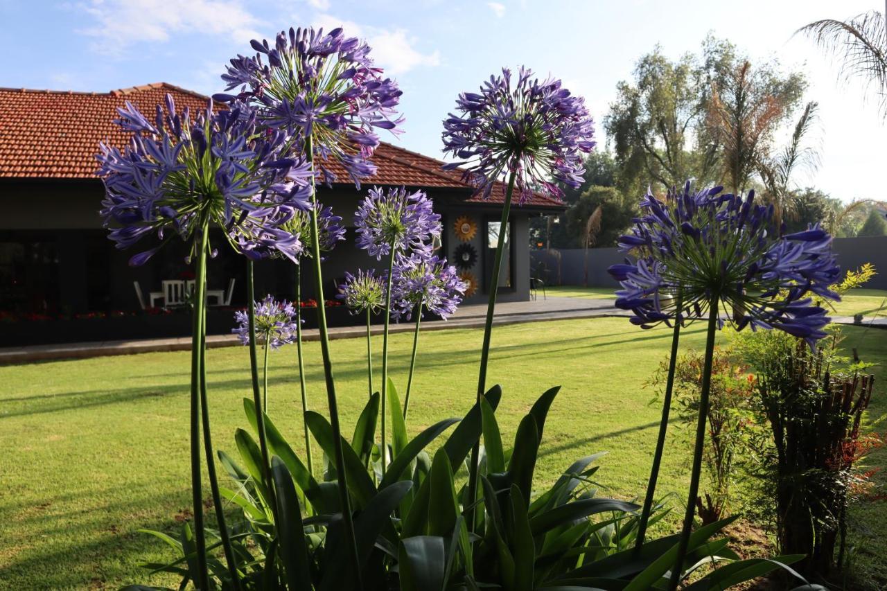 Villa Grande Luxury Accommodation Welkom Exteriör bild